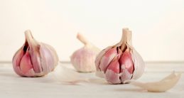 giardia raw garlic